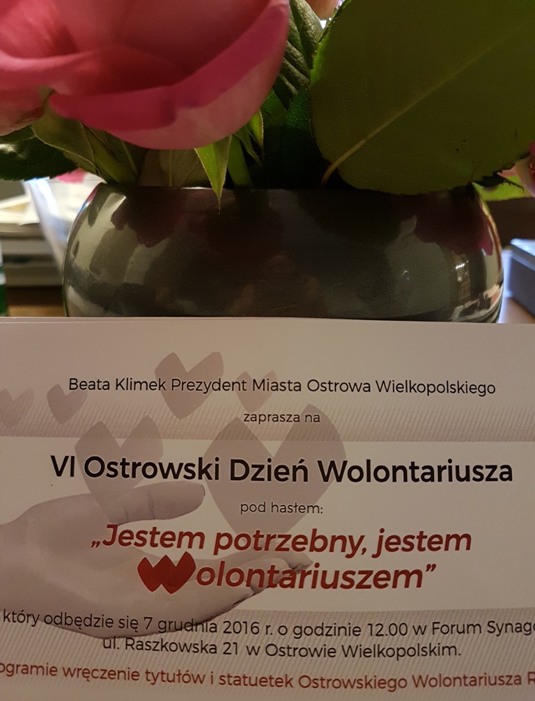 dzien-wolontariusza